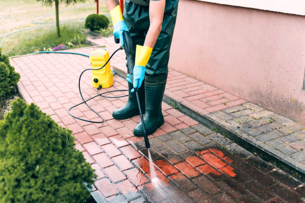 Trusted Endicott, NY Pressure Washing Services Experts
